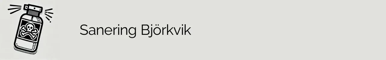 Sanering Björkvik