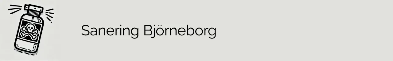 Sanering Björneborg