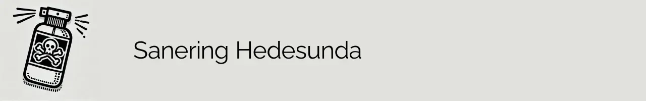 Sanering Hedesunda