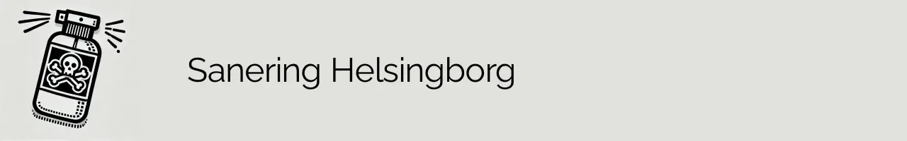 Sanering Helsingborg