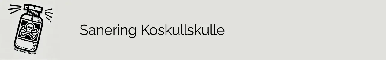 Sanering Koskullskulle