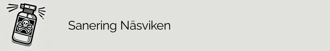 Sanering Näsviken