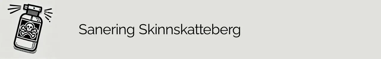 Sanering Skinnskatteberg